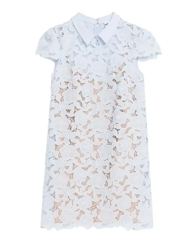 Self-Portrait Floral Guipure Lace Mini Dress