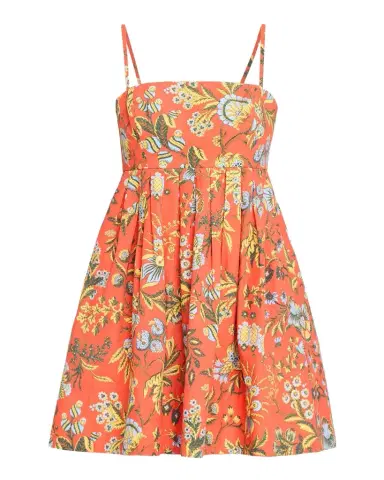 Cara Cara Leo Mini Dress | Thumbnail 1 Cara Cara Leo Mini Dress | Thumbnail 1