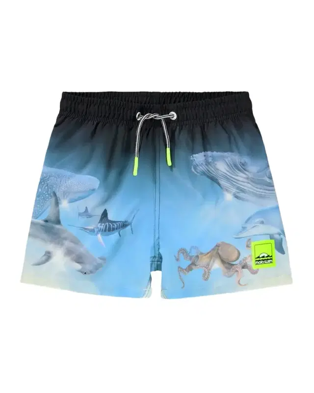 Molo Niko swim trunk