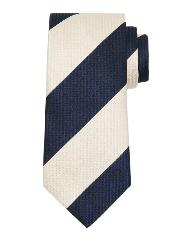 Men 's Diagonal Stripe Silk Tie