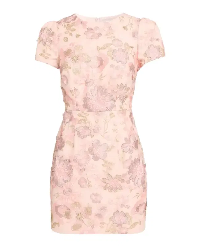 Daisy Floral-Embroidered Mesh Mini Dress
