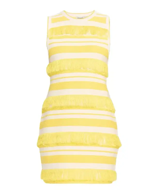 Elly Knit Fringe Mini Dress
