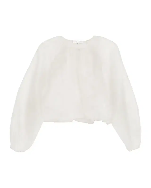 The Sheer Balloon Blouse