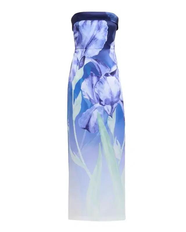 Theia Cyrilla Ombre Floral-Print Column Gown
