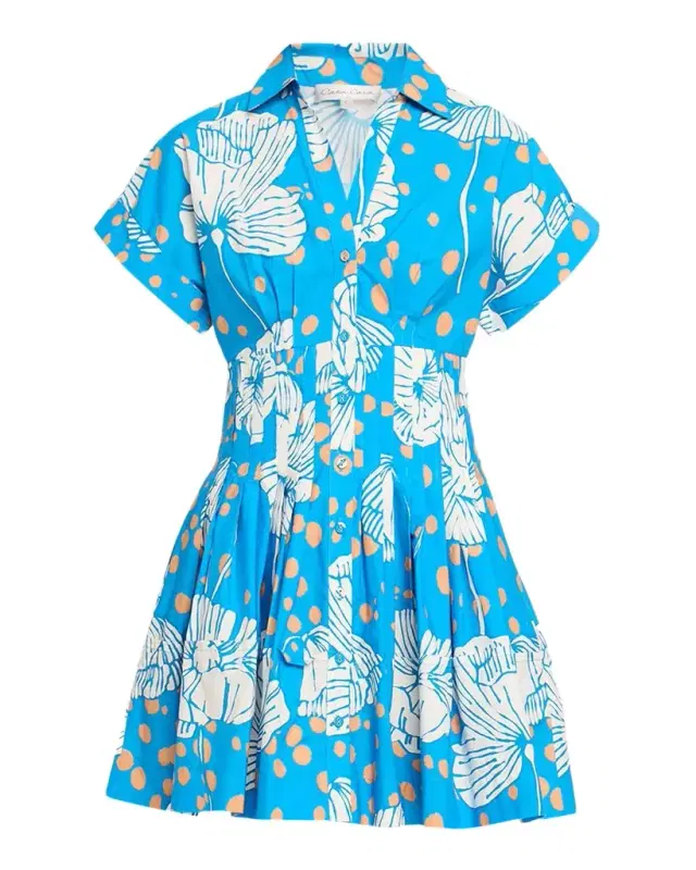 Nash Printed Button-Front Mini Dress