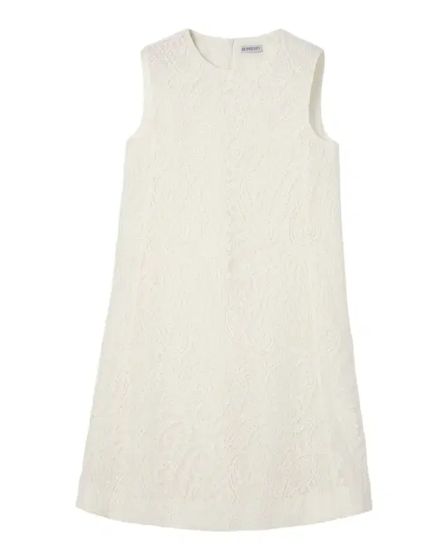 Elysande Paisley Lace Sleeveless Mini Dress