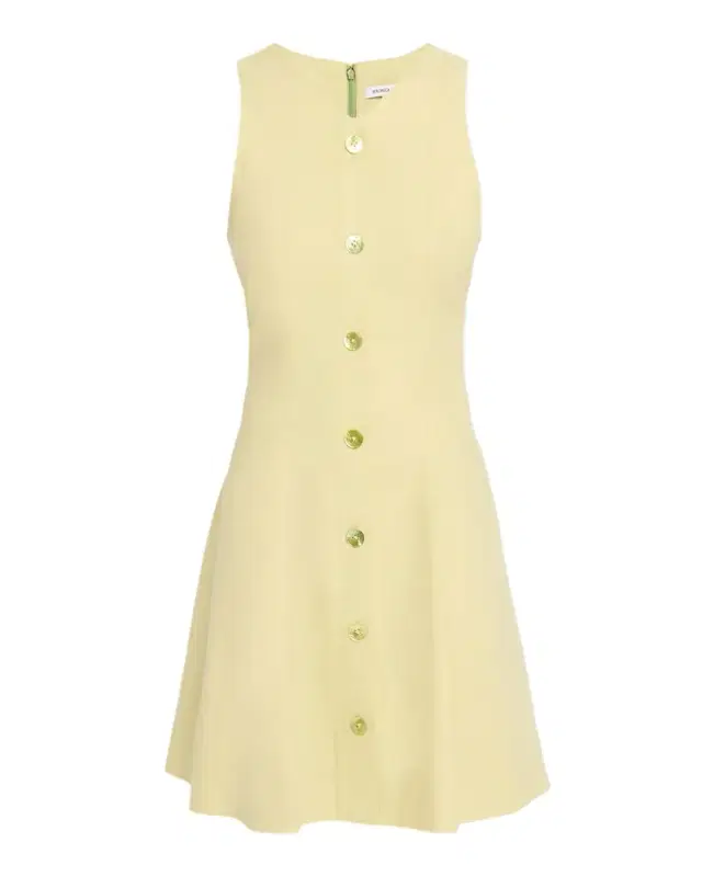 Steiner A-Line Mini Dress