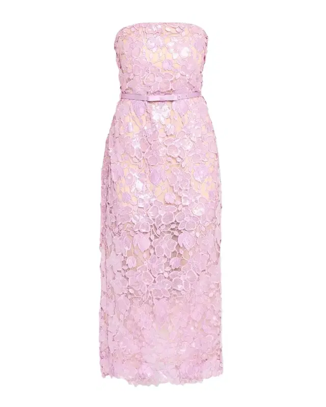 Rowen Sequined Lace Midi Dress Rowen Sequined Lace Midi Dress