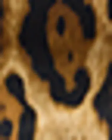 Alaïa Le Click Medium Leopard-Print Shoulder Bag | Thumbnail 3