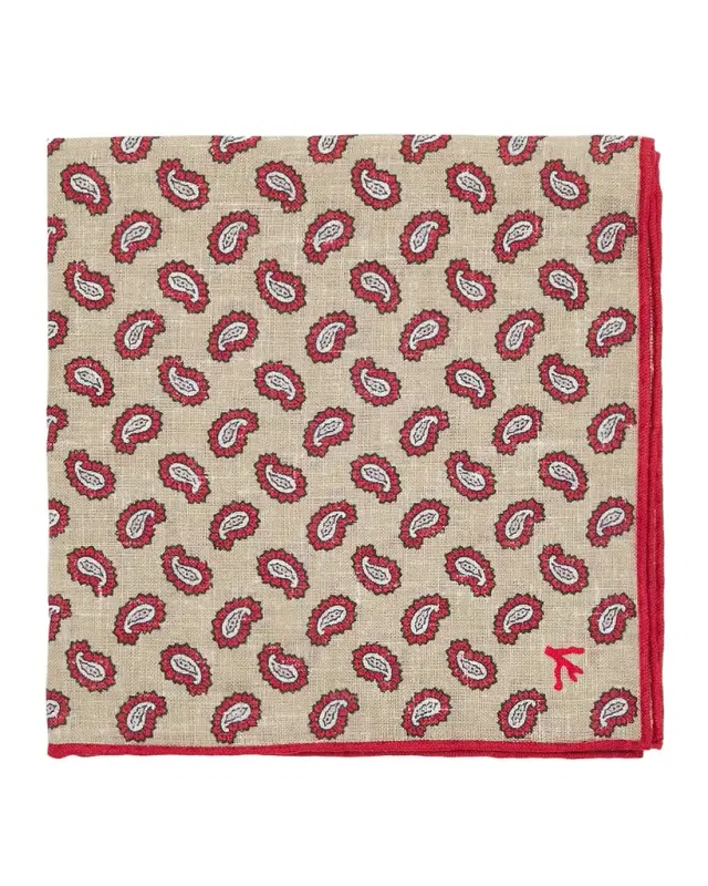 Isaia Men 's Paisley Silk Pocket Square