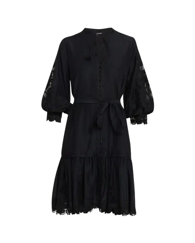 Erica Embroidered Flounce Dress