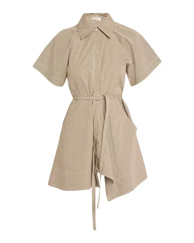 A.L.C. Julie Pinstripe Mini Shirtdress