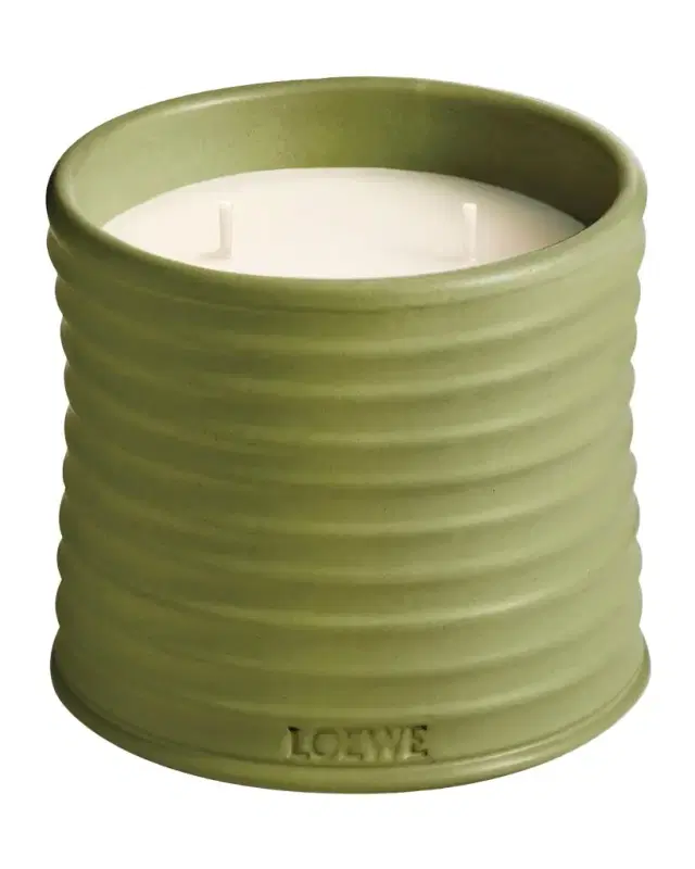 Loewe Pistachio Medium Scented Candle 20.7 oz.