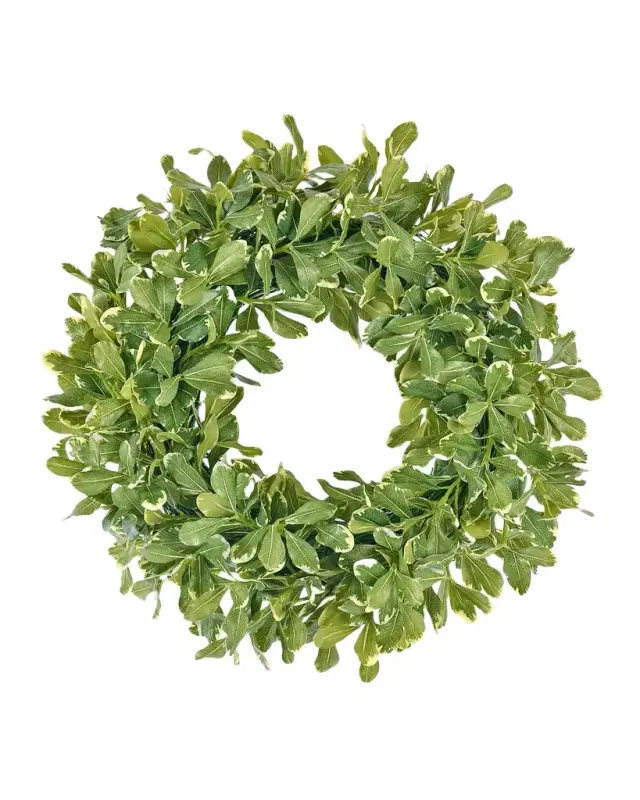 Winward Home Faux Pittosporum Spray 24" Wreath