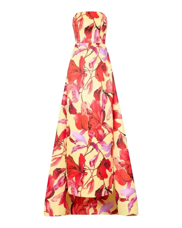 Dorothy Printed Taffeta Dress