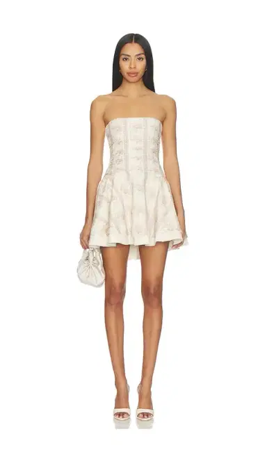 V. Chapman Ellerie Mini Dress | Thumbnail 1