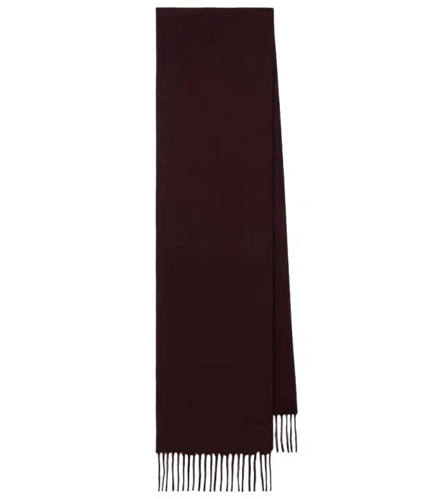 Max Mara Fringed wool scarf