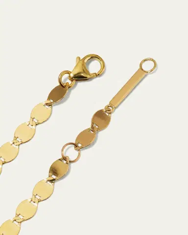 Lana 14K Gold Large Nude Chain Choker Necklace | Thumbnail 4