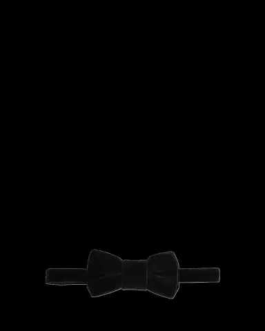 Charvet Men's Velvet Bow Tie | Thumbnail 2