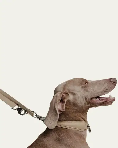 Pagerie The Tascher Leash | Thumbnail 4