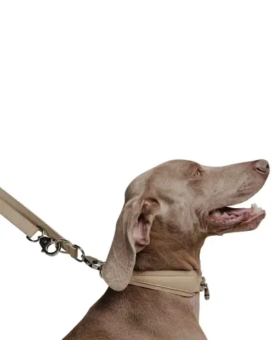Pagerie The Tascher Leash | Thumbnail 8