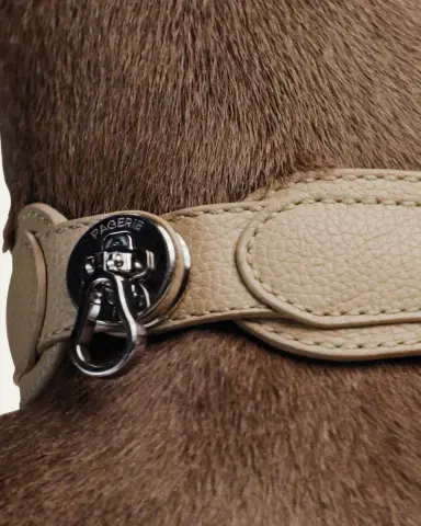 Pagerie The Dorro Dog Collar | Thumbnail 5 Pagerie The Dorro Dog Collar | Thumbnail 5