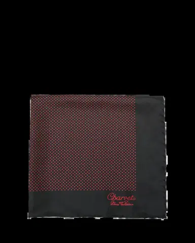 Charvet Men's Silk Dot-Print Pocket Square | Thumbnail 2