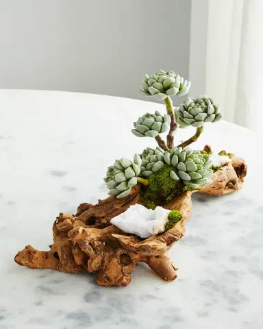 T & C Floral Company Baby Log Filled with Sedum | Thumbnail 2