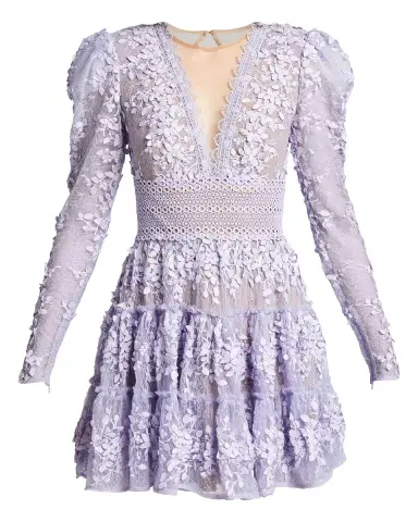 Bronx and Banco Megan Lace Illusion Mini Dress | Thumbnail 5
