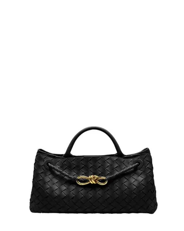 Bottega Veneta Small East-West Andiamo Bag