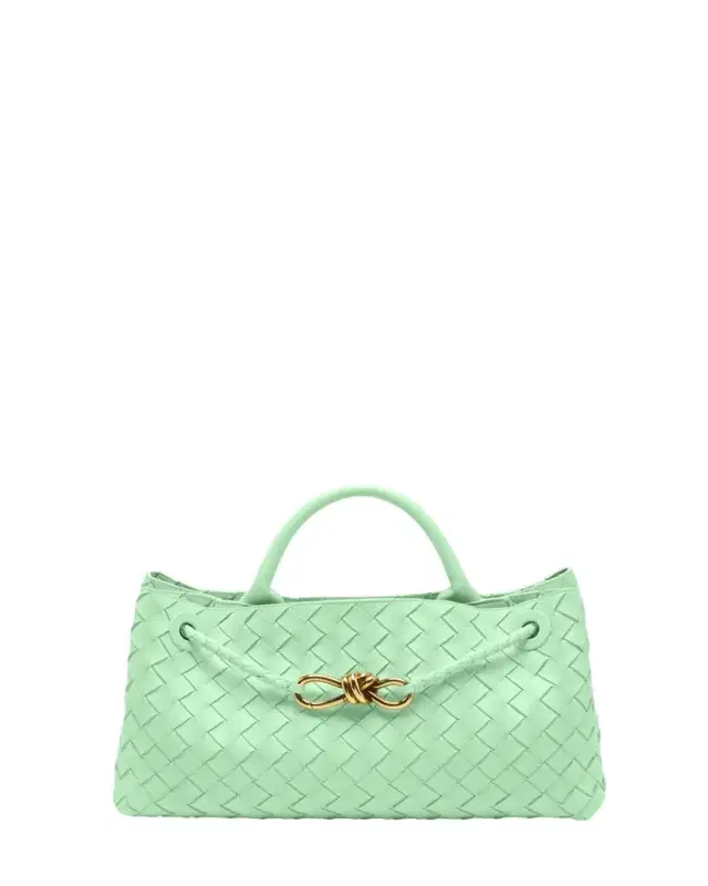 Bottega Veneta Small East-West Andiamo Bag