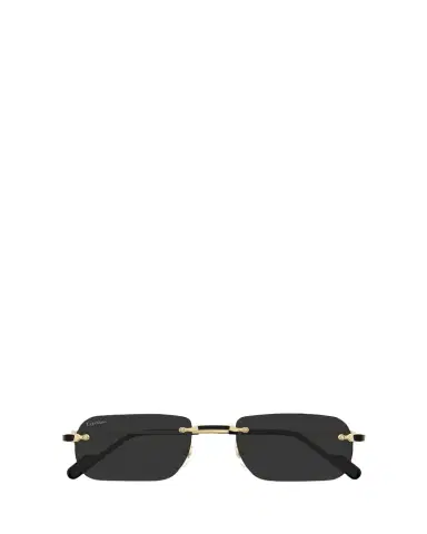 Cartier Men's Nylon & Metal Rectangle Sunglasses | Thumbnail 1