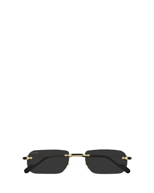 Cartier Men's Nylon & Metal Rectangle Sunglasses