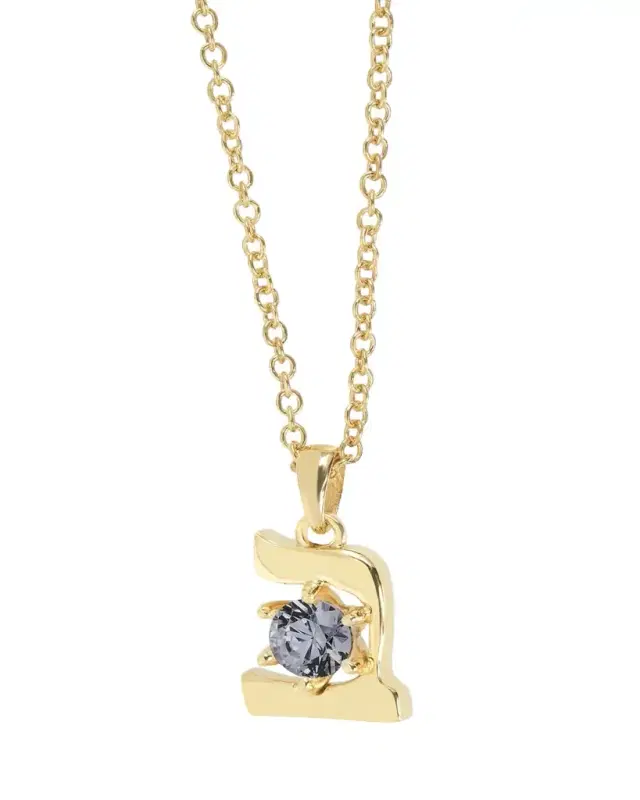 Procaccia Jewelry 18K Gold Hebrew BET Gray Spinel Initial Necklace, 18"L