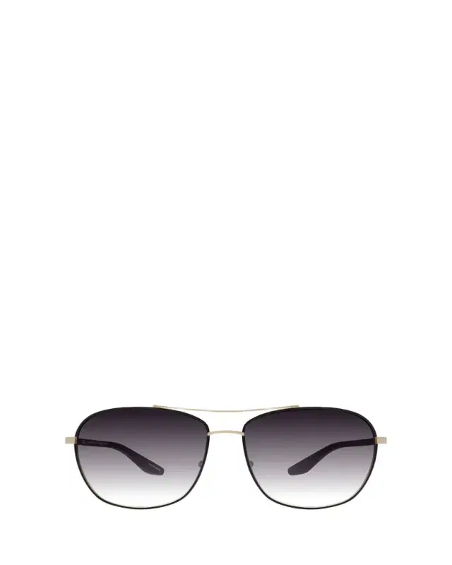 Sully Aviator Titanium Sunglasses