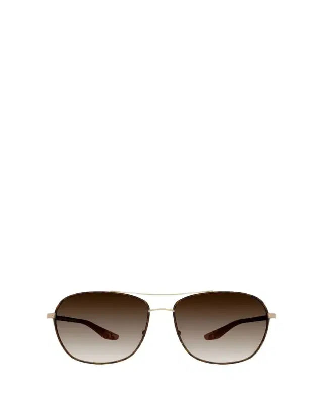 Sully Aviator Titanium Sunglasses