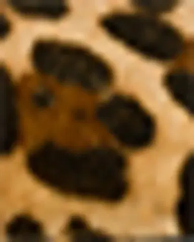 Vibi Venezia Leopard-Printed Canvas Mary Jane Ballerina Flats | Thumbnail 3 Vibi Venezia Leopard-Printed Canvas Mary Jane Ballerina Flats | Thumbnail 3