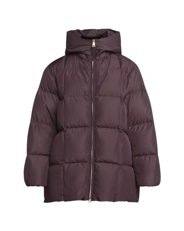 Darbon Oversized Hooded Down Jacket