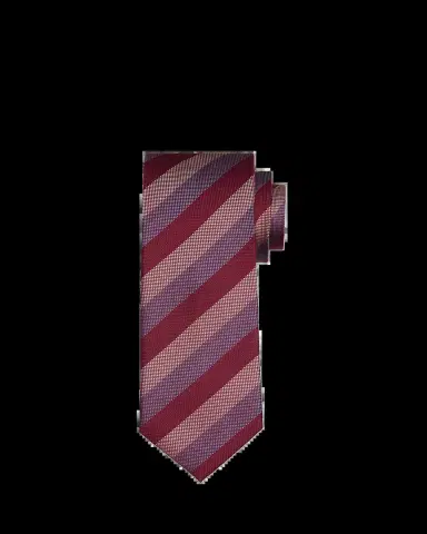 Charvet Men's Micro-Texture Diagonal Stripe Silk Tie | Thumbnail 2
