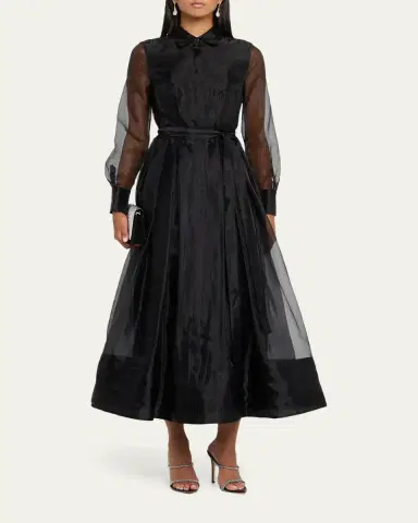 SIMKHAI Montgomery Pleated Organza Maxi Shirtdress | Thumbnail 2
