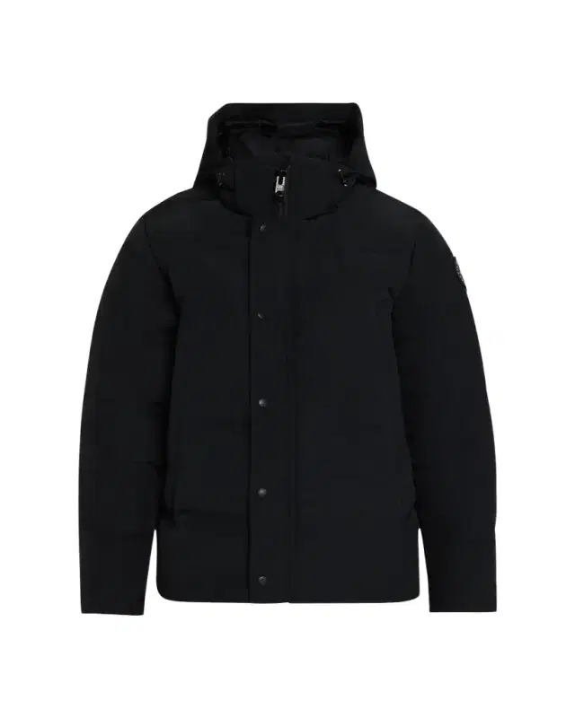 Men's Wyndham Black Label Down Parka