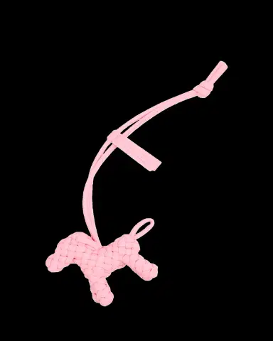 Bottega Veneta Intreccio Nappa Leather Dog Charm | Thumbnail 2 Bottega Veneta Intreccio Nappa Leather Dog Charm | Thumbnail 2