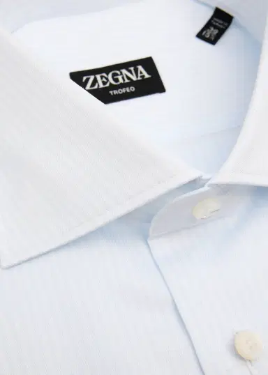 Zegna Men's Tonal Stripe Trofeo Cotton Dress Shirt | Thumbnail 2