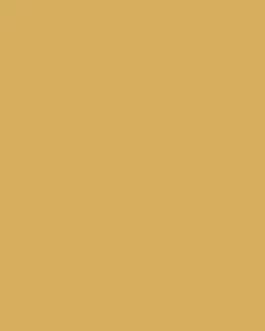 Anita Ko Zoe 18K Gold Large Choker Necklace | Thumbnail 3