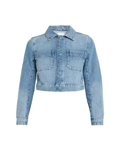 Frame The Small Denim Jacket | Thumbnail 1
