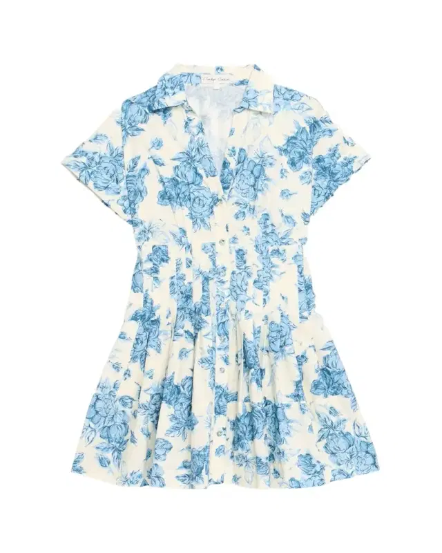 Nash Printed Button-Front Mini Dress