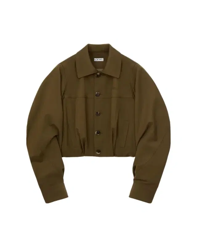 Single-Breasted Cotton Balloon Jacket