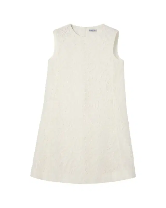 Elysande Paisley Lace Sleeveless Mini Dress