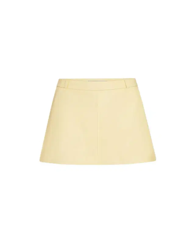 FRAME The Leather Mini Skirt