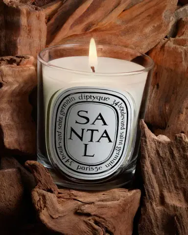Diptyque Santal (Sandalwood) Classic Candle, 6.7 oz. | Thumbnail 3